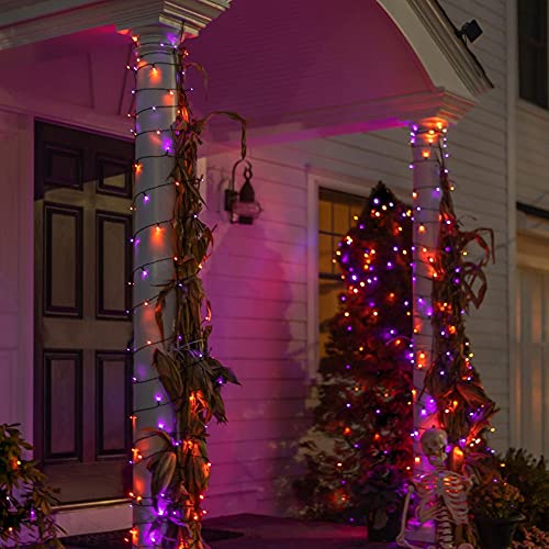 Dazzle Bright Halloween 300 LED String Lights, 100FT String Lights with 8 Lighting Modes, Outdoor Yard Garden Decor (Pur