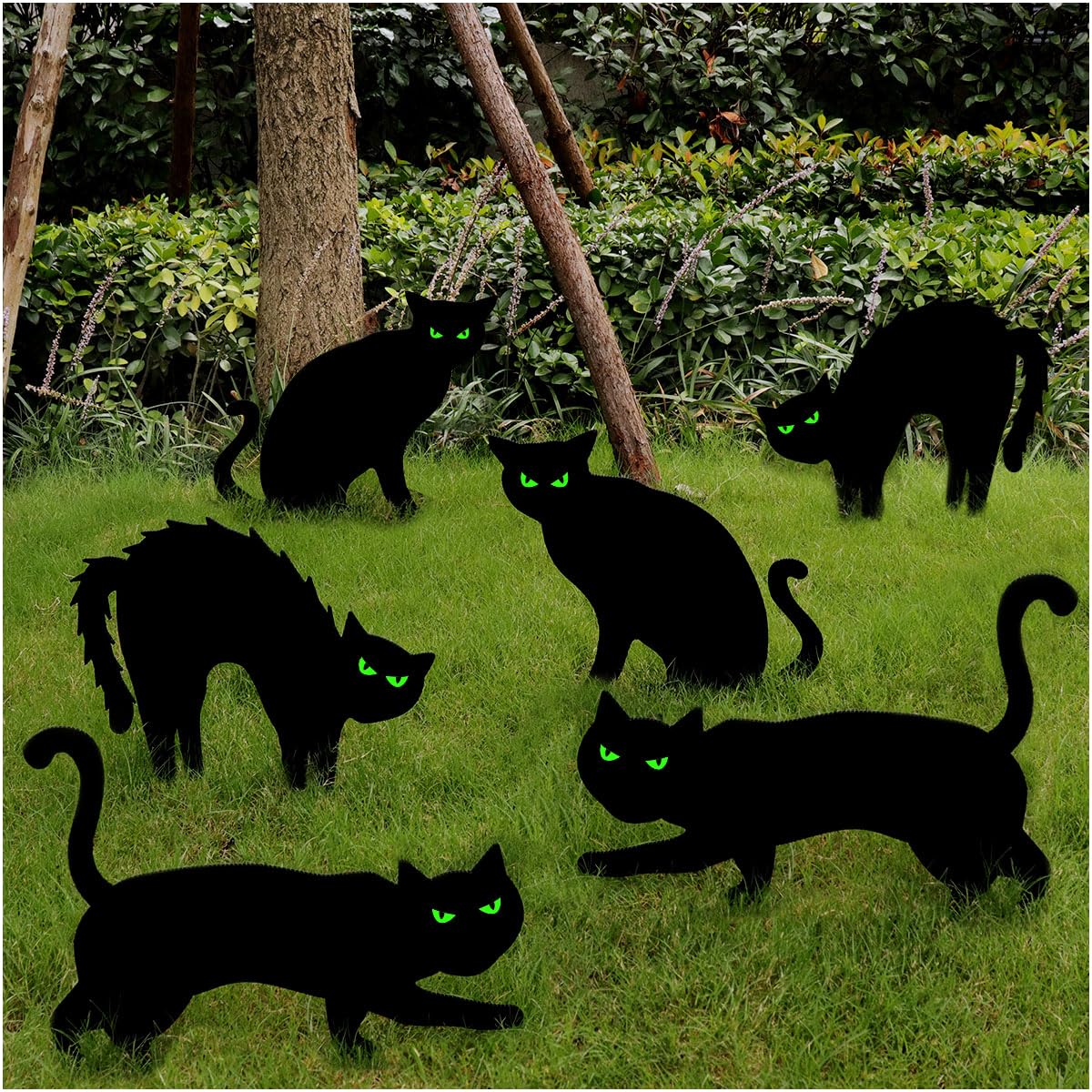 Halloween Outdoor Black Cat Decorations for Kids Family Party, 6ct Waterproof Yard Signs with Glow in Dark Eyes